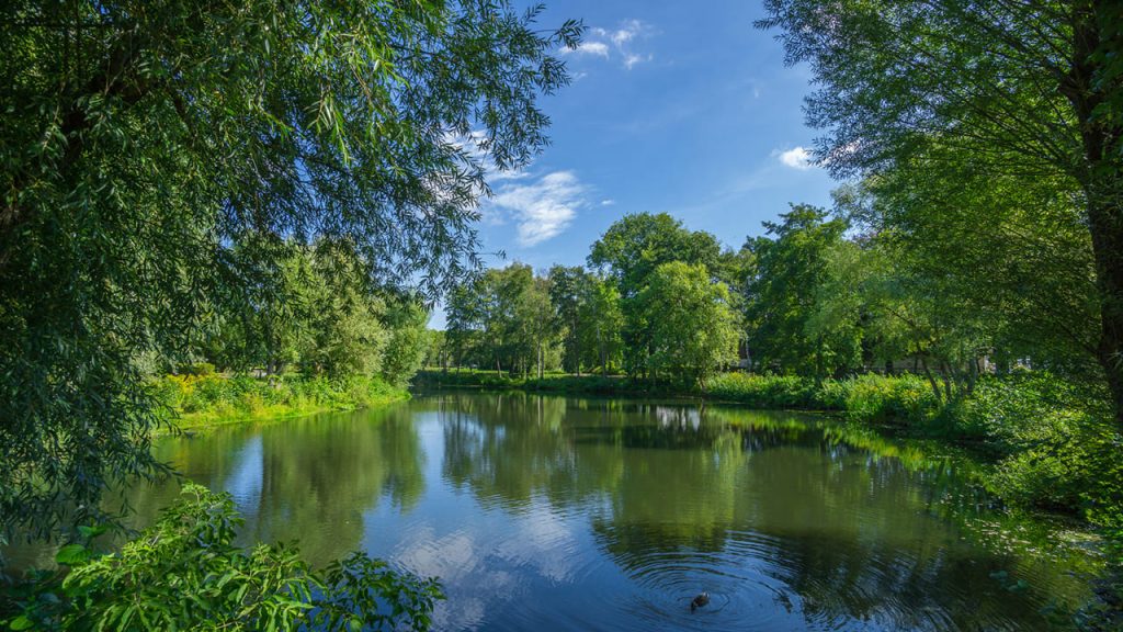 Fox Run Regional Park, CO